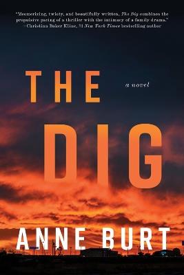 The Dig: A Novel - Anne Burt - cover