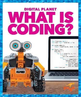 What Is Coding ? - Nikole Brooks Bethea - cover