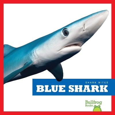 Blue Shark - Jenna Lee Gleisner - cover