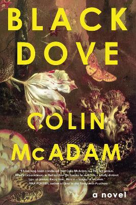 Black Dove - Colin McAdam - cover