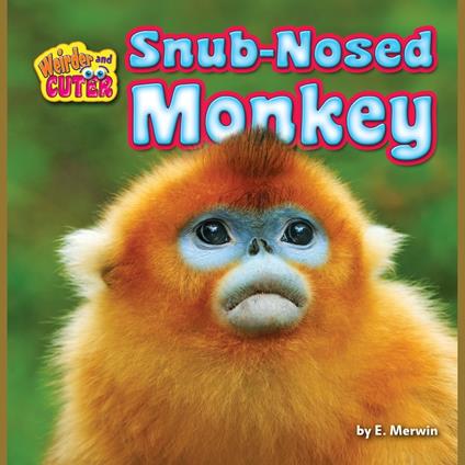 Snub-Nosed Monkey
