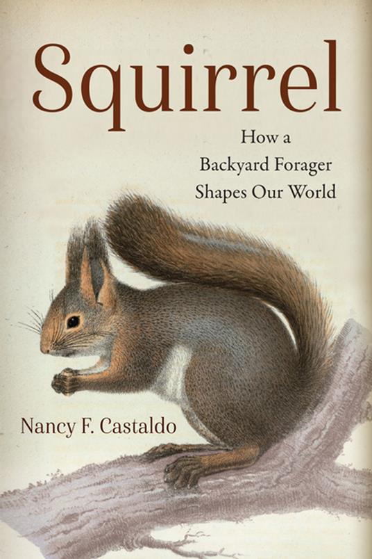 Squirrel