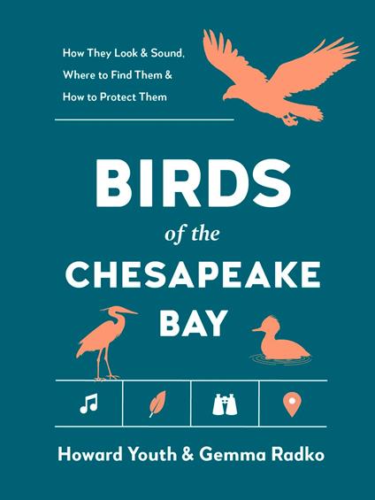 Birds of the Chesapeake Bay