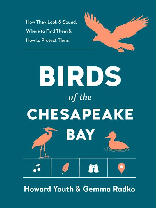 Birds of the Chesapeake Bay