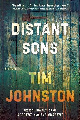 Distant Sons - Tim Johnston - cover
