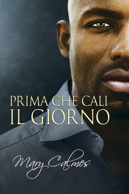 Prima che cali il giorno - Mary Calmes,Sara Linda Benatti - ebook