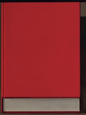 Liu Ye: The Book Paintings - Liu Ye - cover