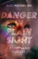Danger in Plain Sight - Burt Weissbourd - cover
