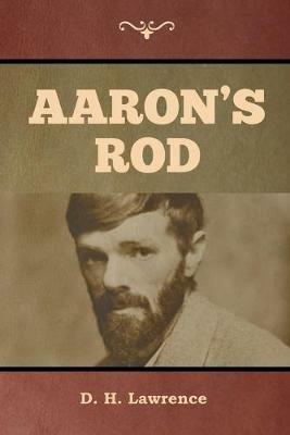 Aaron's Rod - D H Lawrence - cover