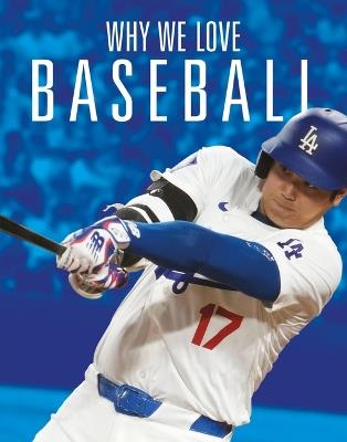 Why We Love Baseball - Aidan Whitcomb - cover