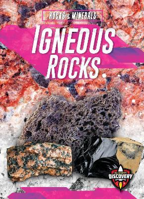 Igneous Rocks - Jenny Fretland VanVoorst - cover