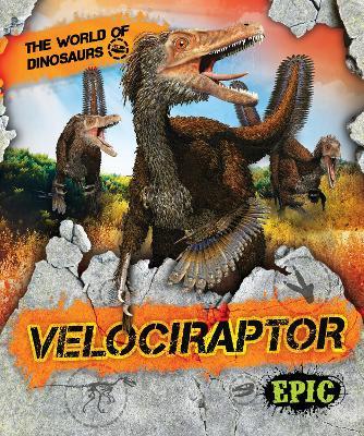 Velociraptor - Rebecca Sabelko - cover