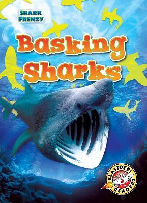 Basking Sharks - Rebecca Pettiford - cover