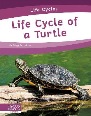 Life Cycle of a Turtle - Meg Gaertner - cover