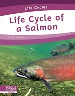 Life Cycle of a Salmon