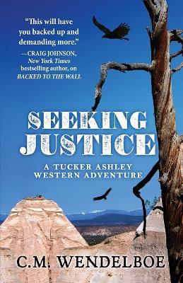 Seeking Justice - C M Wendelboe - cover