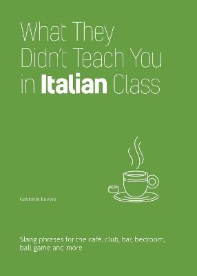 What They Didn't Teach You in Italian Class - Erin Coyne,Igor Fisun - cover