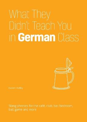 What They Didn't Teach You In German Class: Slang Phrases for the Cafe, Club, Bar, Bedroom, Ball Game and More - Daniel Chaffey - cover