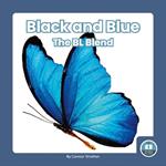 On It, Phonics! Consonant Blends: Black and Blue: The BL Blend