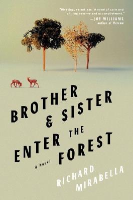 Brother & Sister Enter The Forest: A Novel - Richard Mirabella - cover