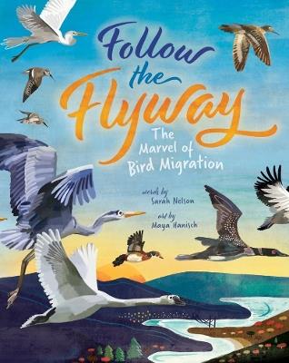Follow the Flyway: The Marvel of Bird Migration - Sarah Nelson - cover