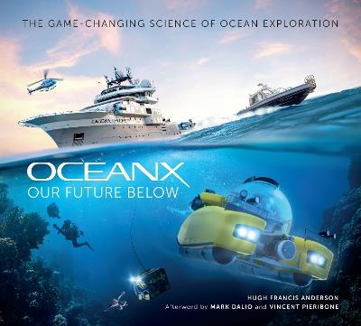 Our Future Below: The Game-Changing Science of Ocean Exploration - Vincent Pieribone,Vincent Insight Editions - cover