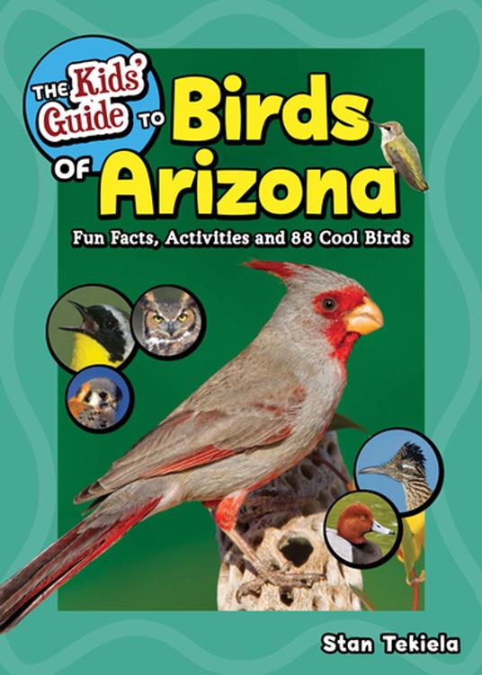 The Kids' Guide to Birds of Arizona - Stan Tekiela - ebook