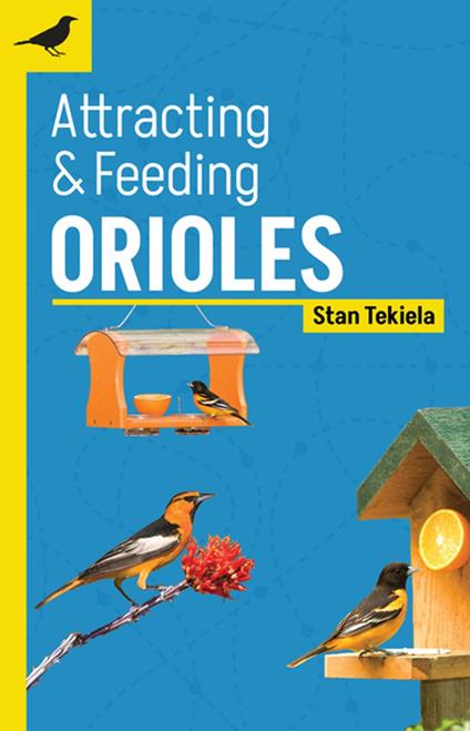 Attracting & Feeding Orioles