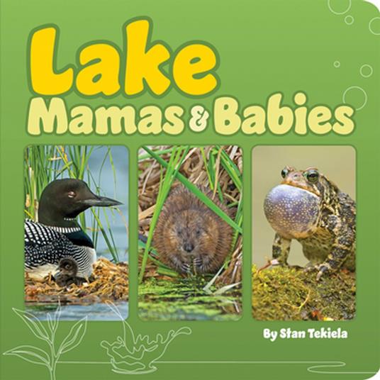 Lake Mamas & Babies - Stan Tekiela - ebook