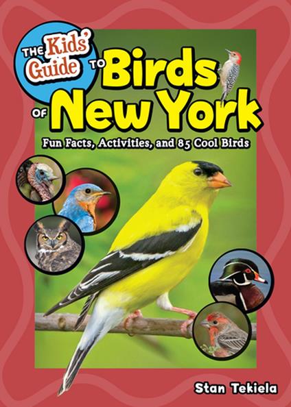 The Kids' Guide to Birds of New York - Stan Tekiela - ebook