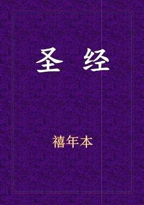 Holy Bible - &#26032;&#26087;&#32422;&#20840;&#20070; - cover