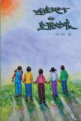 The Beautiful Girls in the Faraway Field: ????????? - Qi Gao,?? - cover