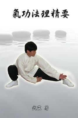 Choice Methods and Theory on Chinese Kungfu: ?????? - Xiaogang Wu,??,??? - cover