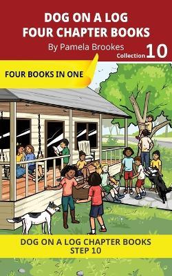 Four Chapter Books 10: Decodable Series for Students Learning to Read. For Developing Readers and Students with Dyslexia. (Step 10 Open Syllables, "Y" as Long "I," Advancing Two-Syllable Words) - Pamela Brookes - cover