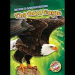 The Bald Eagle