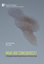 What are Coincidences? A Philosophical Guide Between Science and Common Sense