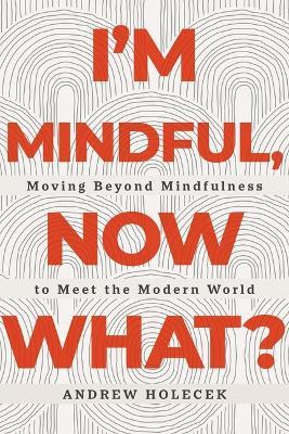 I'm Mindful, Now What?: Moving Beyond Mindfulness to Meet the Modern World - Andrew Holecek - cover
