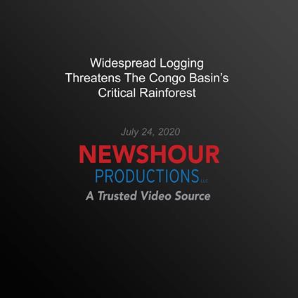 Widespread Logging Threatens The Congo Basin’s Critical Rainforest
