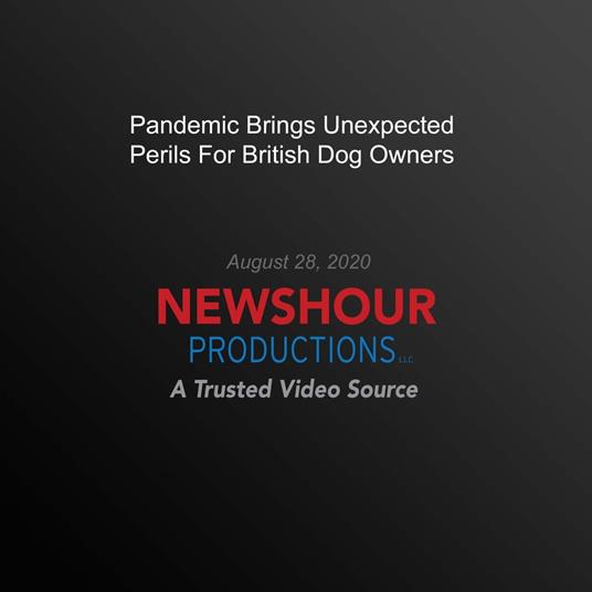 Pandemic Brings Unexpected Perils For British Dog Owners
