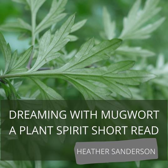 Dreaming with Mugwort