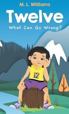 Twelve: What Can Go Wrong? - M L Williams - cover