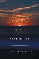 A Scandal of the Particular - Steve Hamilton - cover