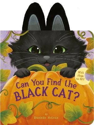 Can You Find the Black Cat?: With flaps to lift! - Danielle McLean - cover