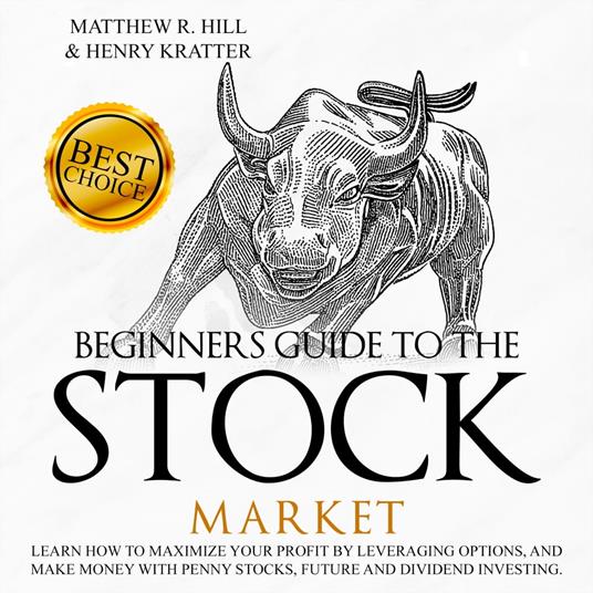 BEGINNERS GUIDE TO THE STOCK MARKET