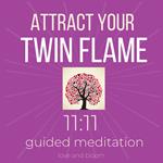 Attract your Twin Flame 11:11 Guided Meditation