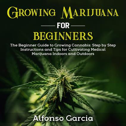 Growing Marijuana for Beginners