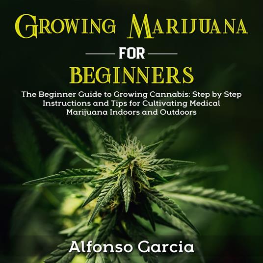 Growing Marijuana for Beginners
