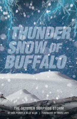 Thunder Snow of Buffalo: The October Surprise Storm - Don Purdy,Billy Klun - cover