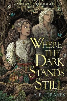 Where the Dark Stands Still - A B Poranek - cover
