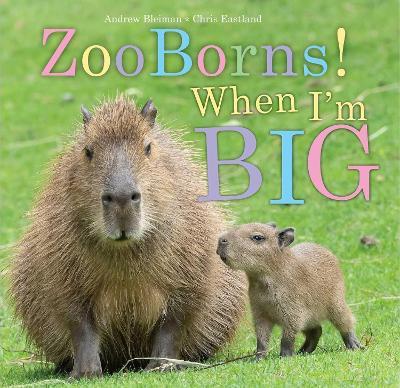 ZooBorns! When I'm Big - Andrew Bleiman - cover